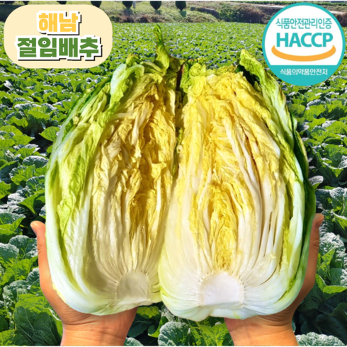 해남절임배추 - [HACCP인증] 땅끝해남 절임배추, 11월 13일<수>도착, 1개, 20kg”></a>
                </div>
<div class=