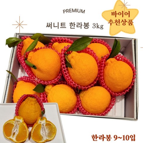 2023년 가성비 최고 롯데선물세트 - [롯데백화점] 달콤한 써니트 한라봉 과일선물세트 롯데백화점에서 선별한 당도 높은 과일 선물세트 써니트 명절선물세트 설선물 과일선물세트 과일선물, 1박스, 3kg