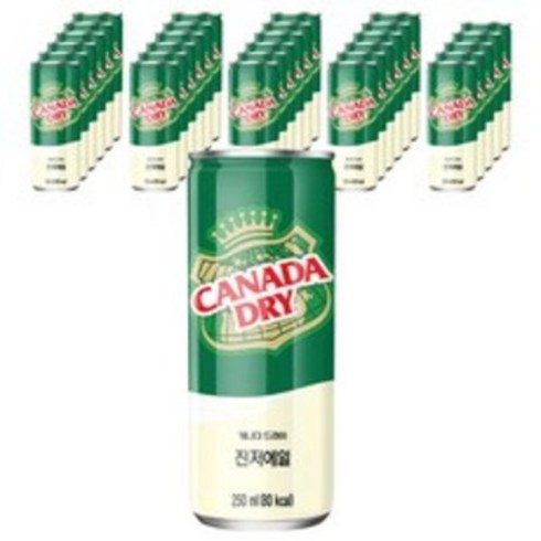 캐나다드라이 진저에일 250ml, 15개