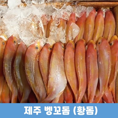 국내산 자연산 황돔 300g10팩  총 30마리 - 제주산 벵꼬돔(황돔) 2팩 8마리 팩당 900-1.2kg내외 꽃돔구이 별미 저녁메뉴 생선, 4팩(16마리), 4개