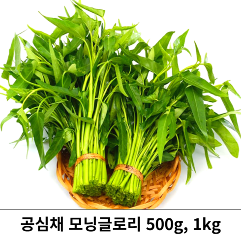 공심채볶음 - [산지 직배송] morningglory 공심채 당일수확 500g 1kg 국내산 신선한 모닝글로리 공심채볶음 팍붕 깡콩 베트남채소 쌈채소 박붕 동남아야채 bao thecbe, 1개, 400g