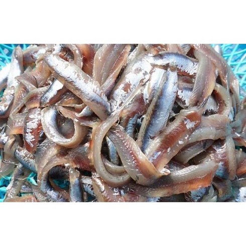 멸치회 - 기장생멸치 손질 멸치회 멸치찌개용 1kg 회무침 조림용, 생멸치회1kg, 1개