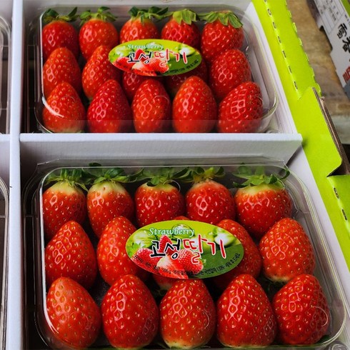 산지직송 설향 딸기 선물 겨울과일 2kg, 1개, 2kg(500gx4팩)중
