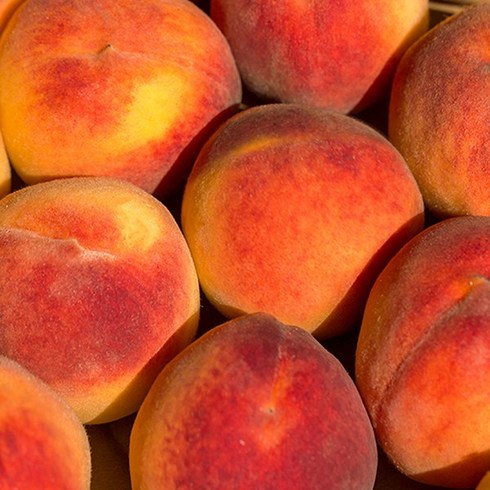 맛과 향이 빼어난 미향수복숭아, 1개, 1kg (10~12과)