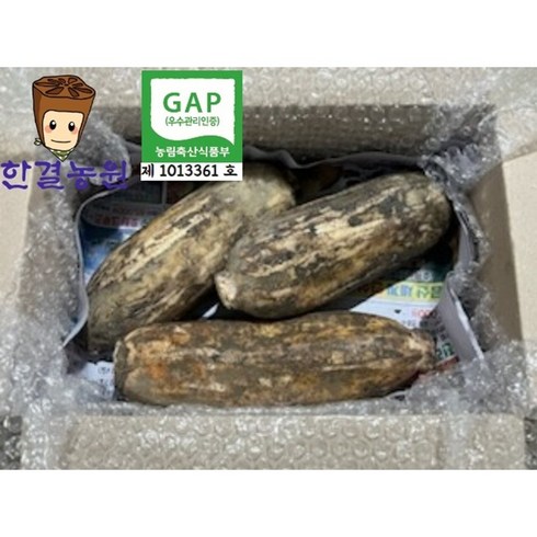 연근 - 한결농원 gap인증 당일수확 연근(햇) 1kg 2kg 3kg 5kg 10kg 15kg 직접재배 산지직송, 1개, 햇연근1kg