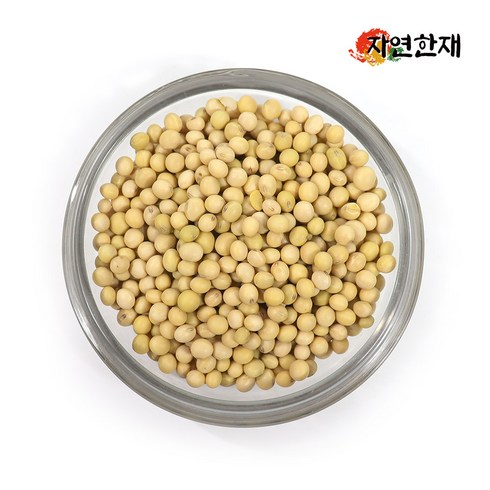 자연한재 2023년산 국산 콩나물콩 유태, 1개, 500g