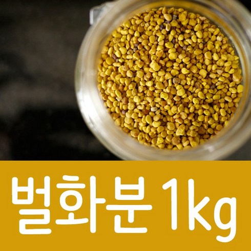 화수분 TOP01
