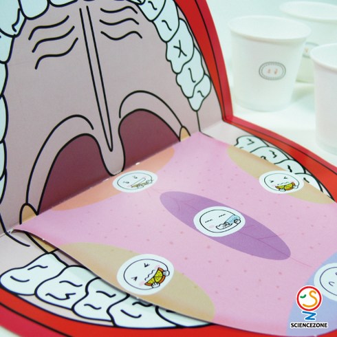 사이언스존 [인체의 비밀-혀와 미각(미각테스트) 5인용] 과학실험 과학교구 과학실험키트 창의력 학습교구