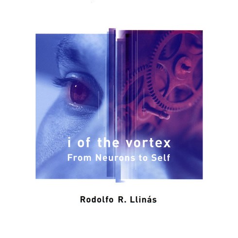 I of the Vortex RE/E, MIT