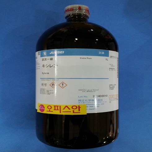 자일렌 TOP01