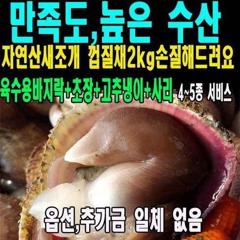 새조개가격 TOP01