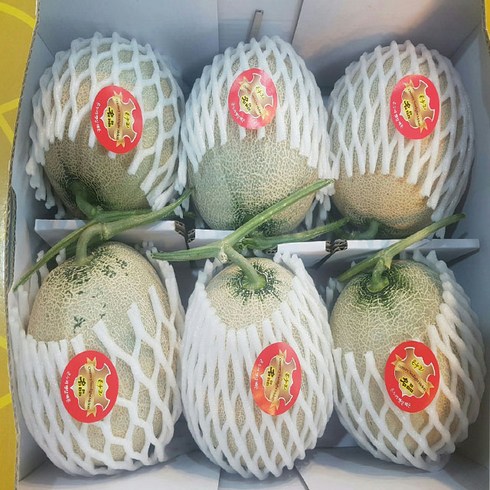 달달과수원 신선하고 맛있는 머스크 메론 7kg내외 한박스 4수 5수 6수 멜론, 6~7kg (6수), 1개