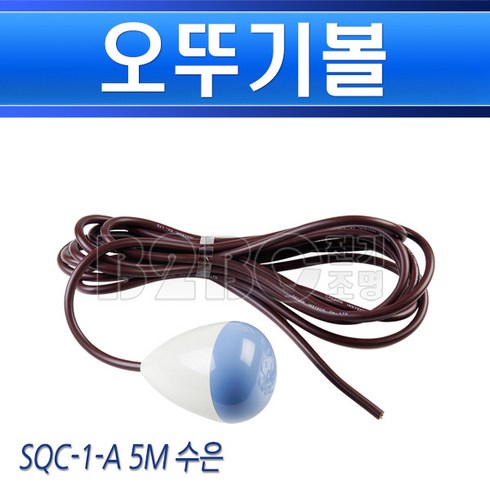 sqc1 TOP01