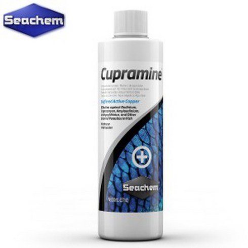 라라아쿠아 - [스토어봄] 시켐 큐프라민 100ml(백점병 오디늄)-라라아쿠아, 상세 설명 참조, 상세 설명 참조