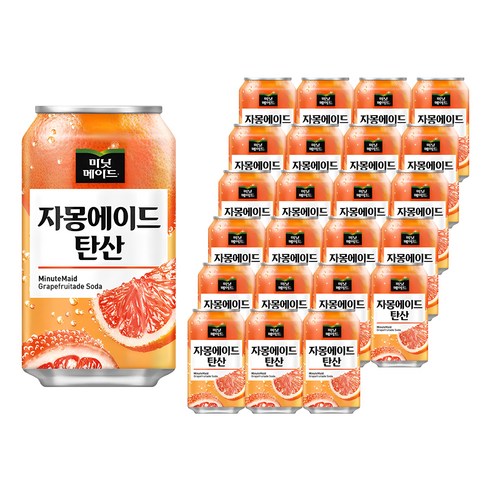 해태htb 미닛메이드 자몽에이드 탄산, 355ml, 48개