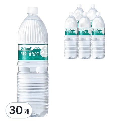 오리온 닥터유 제주용암수, 330ml, 80개