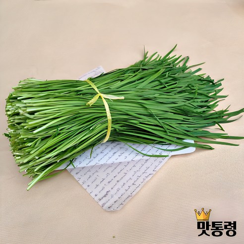[맛통령] 국내산 싱싱한 부추, 1kg, 1개