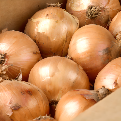 최상품 국내산 단단한 무안 햇 양파, 1박스, 3kg(소)