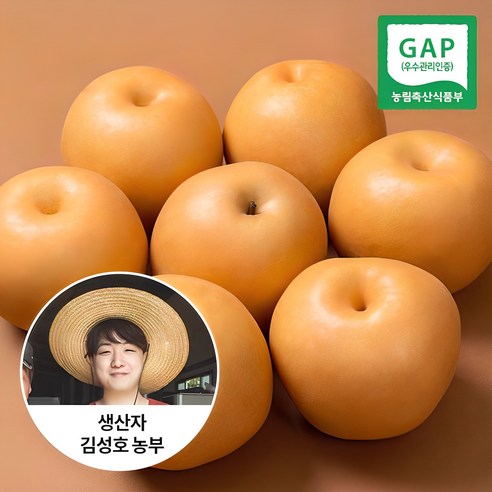 [신선연구소]GAP인증 24년 나주 햇배 가정용 5kg 6-10과, 1개