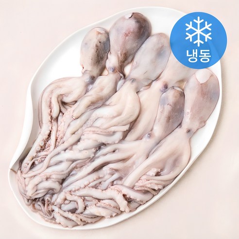 비비수산 살아있을때 얼린 신선한 낙지 (냉동), 1개, 850g(6미) 
수산물/건어물