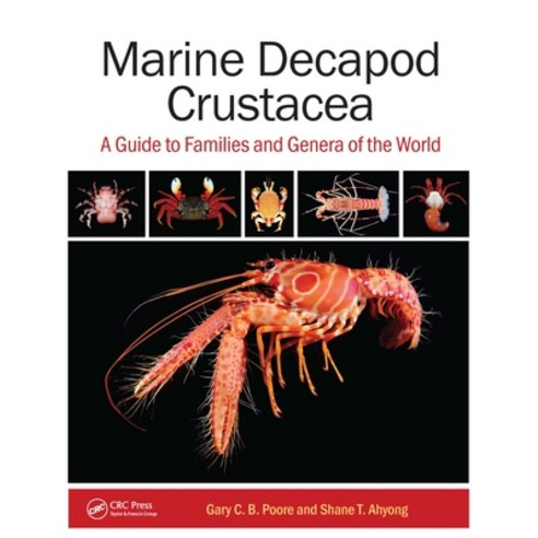 外文書) Marine Decapod Crustacea: A Guide to Families and
