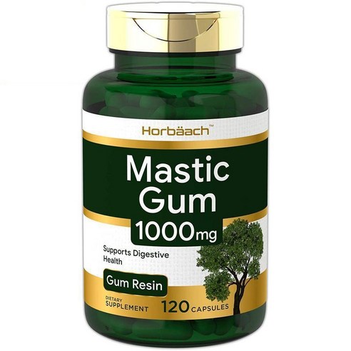 Horbaach 매스틱 검 1000mg 120정, 2개
