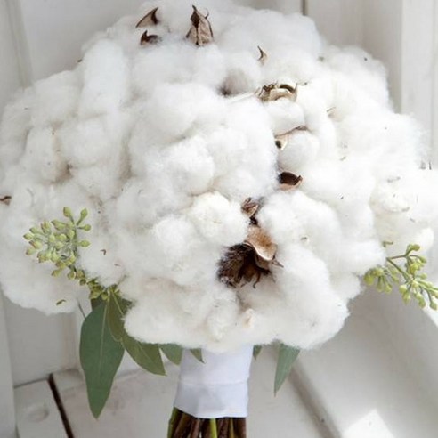 케이지 프래그런스오일 자연향 디퓨저 리필액 50ml, COTTON BLOSSOM