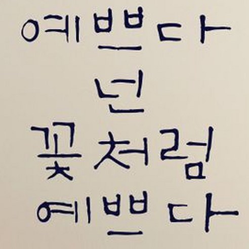 캘리그라피 포인트스티커 예쁘다 넌 꽃처럼, 군청