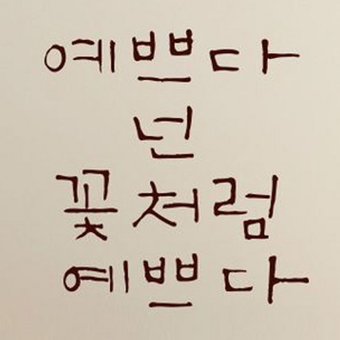 캘리그라피 포인트스티커 예쁘다 넌 꽃처럼, 진갈