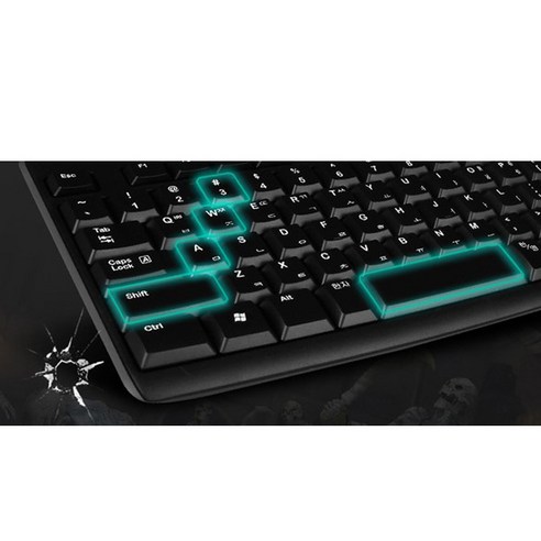 로지텍 데스크탑 유선 키보드 + 유선 마우스 세트 MK200 NEW, 일반형