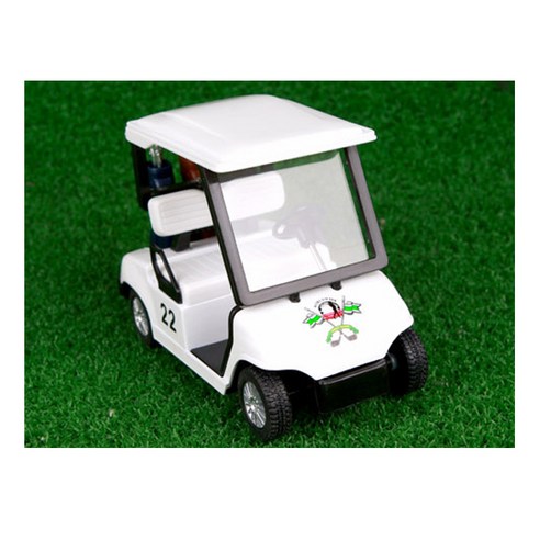 상상력을 그린 위를 달리는 특별한 미니 골프카트