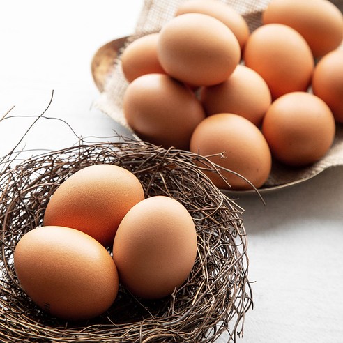 갓 낳은 신선한 1+등급 초란: 건강한 맛과 품질