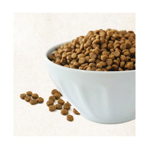 말티즈의 건강과 활력을 위한 완벽한 영양 솔루션