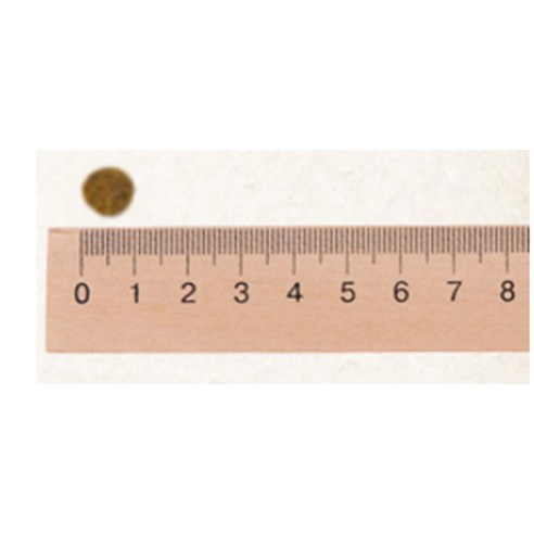  건강백서 전연령 생선 푸들 애견 기능성 사료, 3.9kg, 1개 