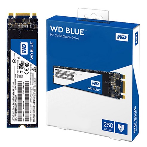 WD BLUE 3D NAND SATA SSD M.2 2280, WDS250G2B0B, 250GB