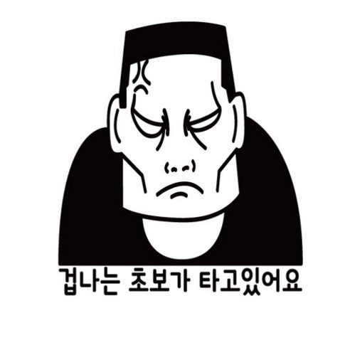 본투로드 개성넘치는 초보운전스티커, 40_D-겁나는 초보가 타고~ - 검정, 1개