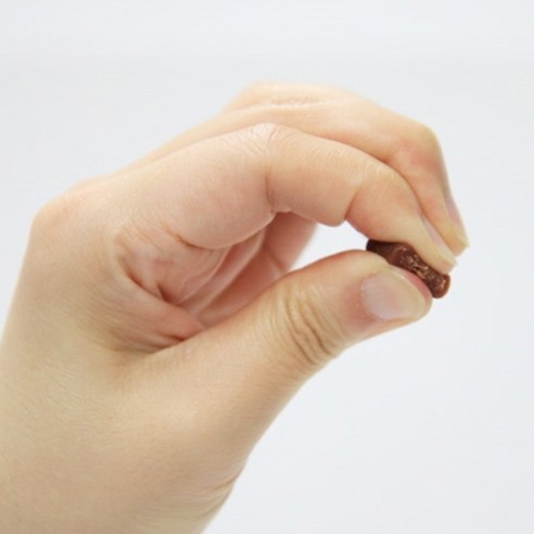 반려견의 건강과 행복을 위한 필수 영양소와 맛있는 즐거움