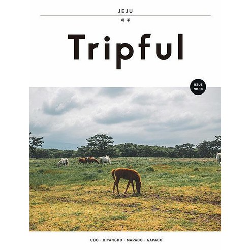 Tripful(트립풀) 제주:우도 비양도 마라도 가파도, 이지앤북스, 이지앤북스 편집부