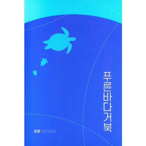 [실천문학사]푸른바다거북, 실천문학사, 김경