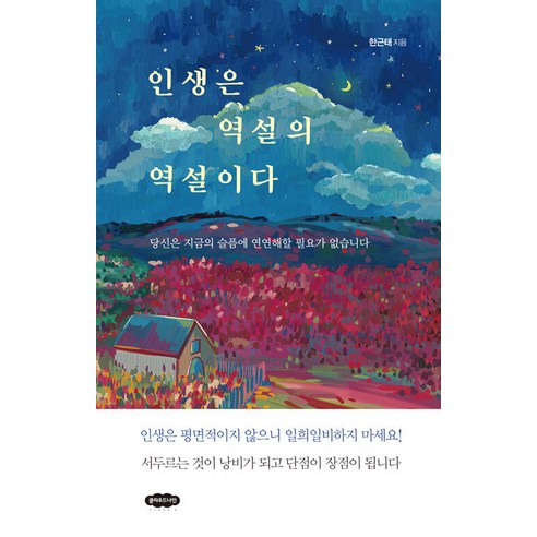 [클라우드나인]인생은 역설의 역설이다 : 당신은 지금의 슬픔에 연연해할 필요가 없습니다 (개정판), 클라우드나인, 한근태