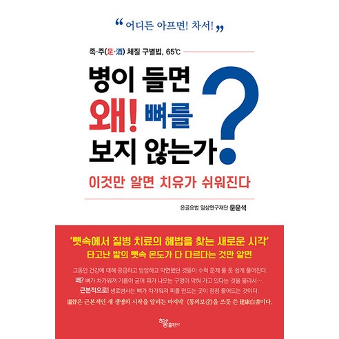 [하움출판사]병이 들면 왜! 뼈를 보지 않는가? : 이것만 알면 치유가 쉬워진다, 하움출판사, 문운석