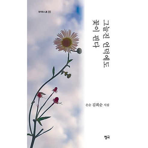 [청어]그늘진 언덕에도 꽃이 핀다 - 청어시인선 406, 청어, 김희순