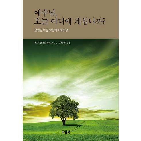 예수님 오늘 어디에 계십니까?:경청을 위한 30편의 기도묵상, 위르겐 베르트, 드림북