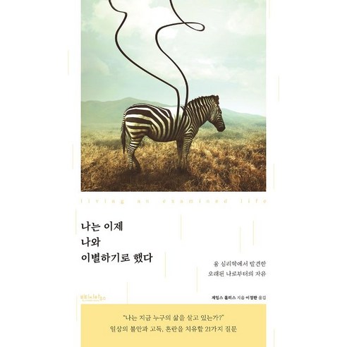 [빈티지하우스]나는 이제 나와 이별하기로 했다 : 융 심리학에서 발견한 오래된 나로부터의 자유, 빈티지하우스, 제임스 홀리스