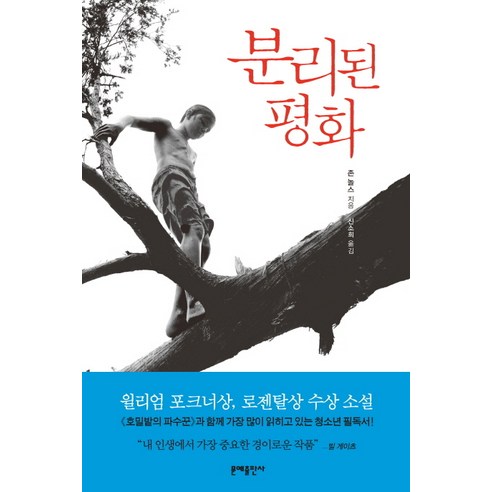 분리된 평화, 문예출판사, 존 놀스 저/신소희 역