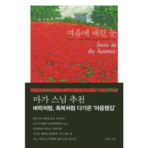 여름에 내린 눈, 한언