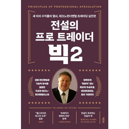 전설의 프로 트레이더 빅 2:세 자리 수익률의 열쇠 테크노펀더멘털 트레이딩 실전편, 액티브, 빅터 스페란데오