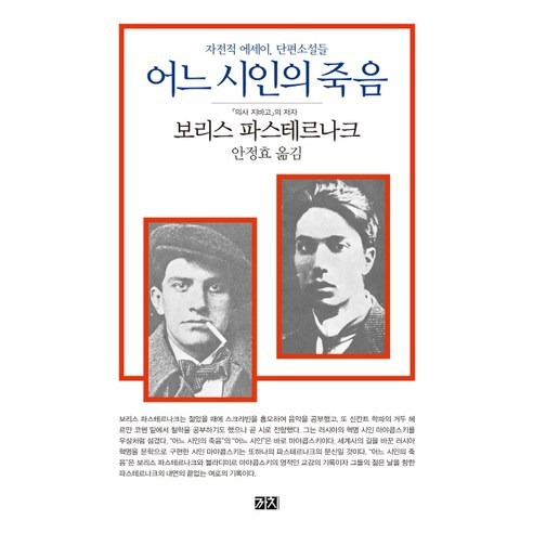 어느 시인의 죽음:자전적 에세이 단편소설들, 까치, 보리스 파스테르나크 저/안정효 역 이반일리치의죽음