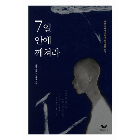 7일 안에 깨쳐라:해안선사의 어록과 반야심경 강의, 비움과소통