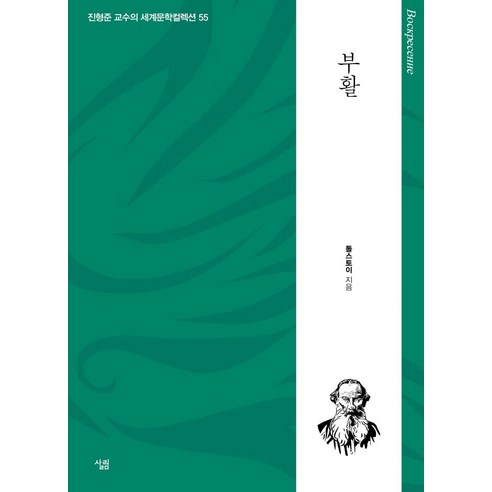 [살림]부활 - 생각하는 힘 진형준 교수의 세계문학컬렉션 55, 살림, 톨스토이